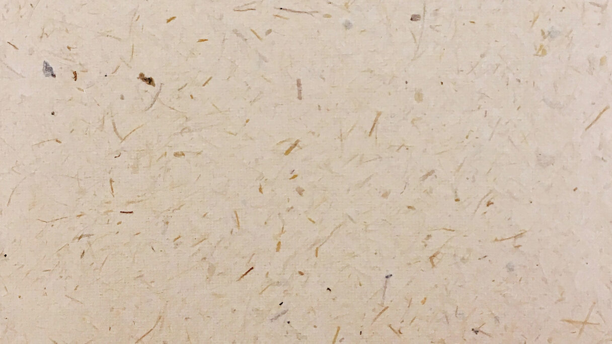 強い個性のある竹紙